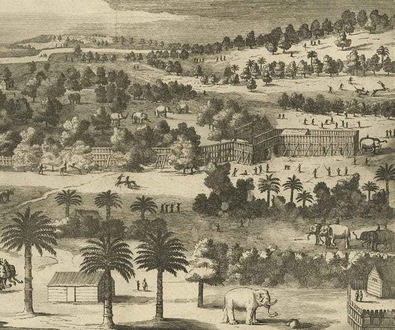 Historical Ceylon — colonial-era tea heritage